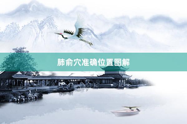 肺俞穴准确位置图解